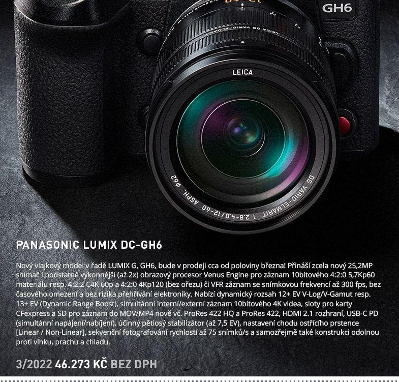 PANASONIC LUMIX DC-GH6