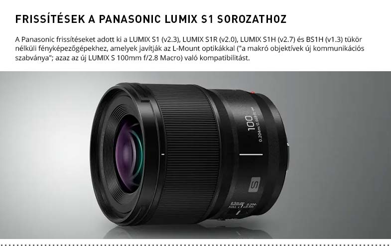 PANASONIC LUMIX S1 FW