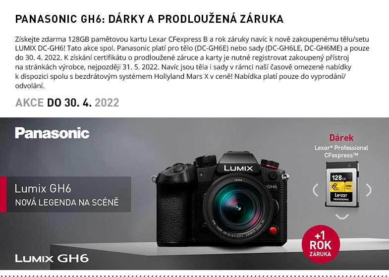 PANASONIC GH6