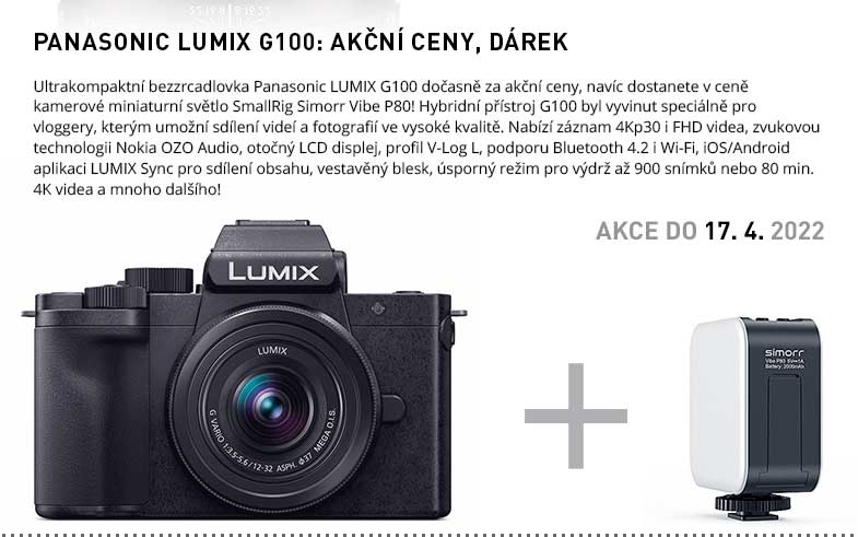 PANASONIC LUMIX G100