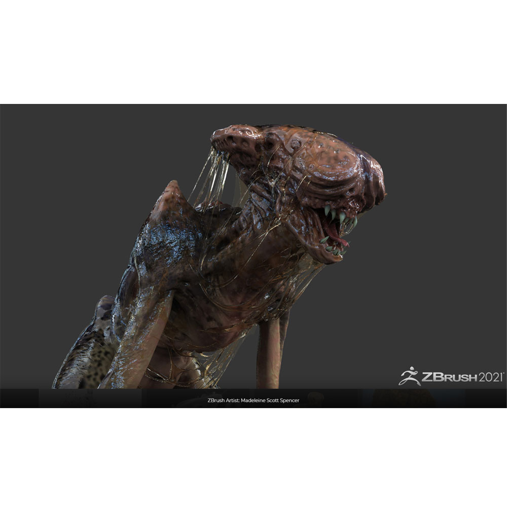 pixologic zbrush 2022.0 6