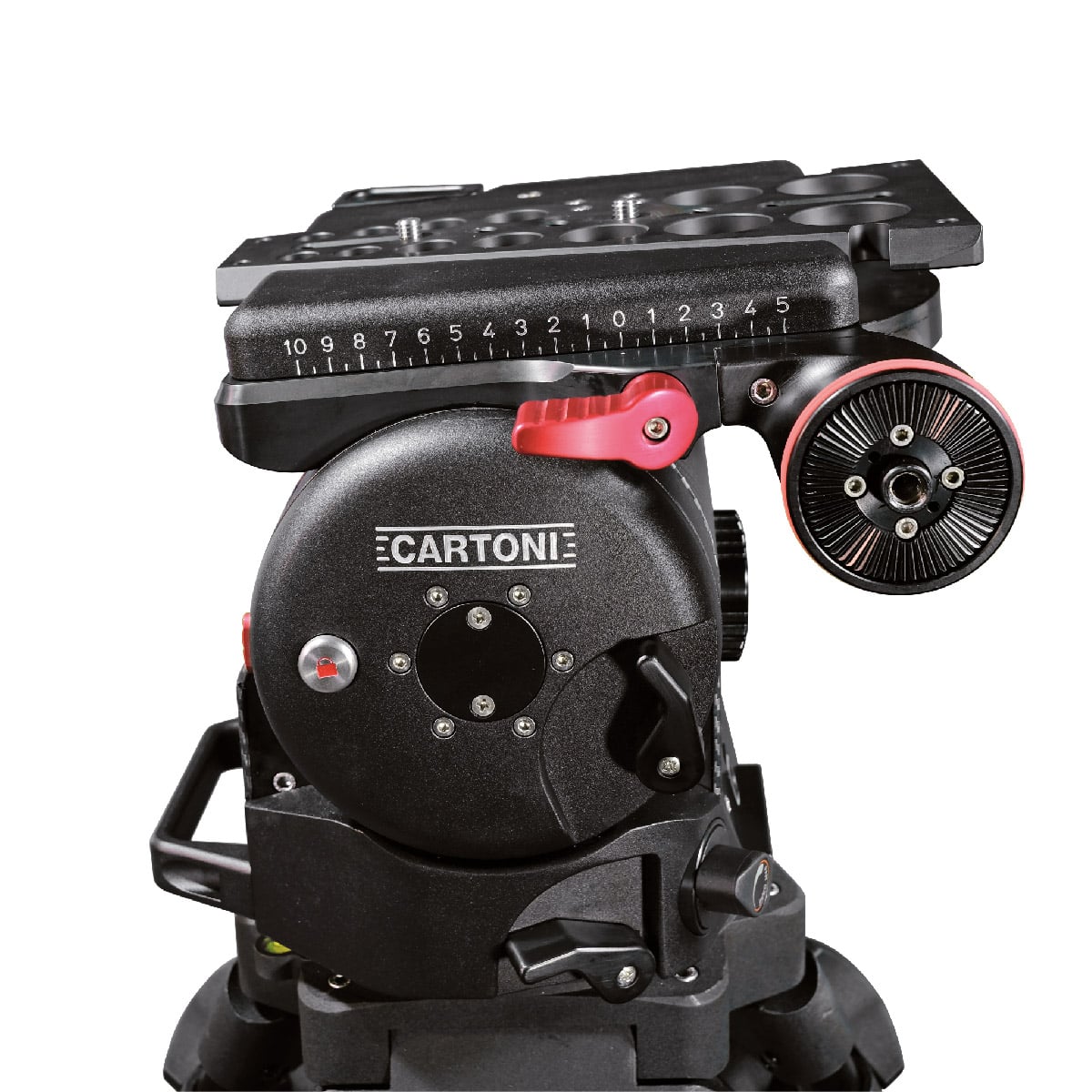 Detail Cartoni Master 65