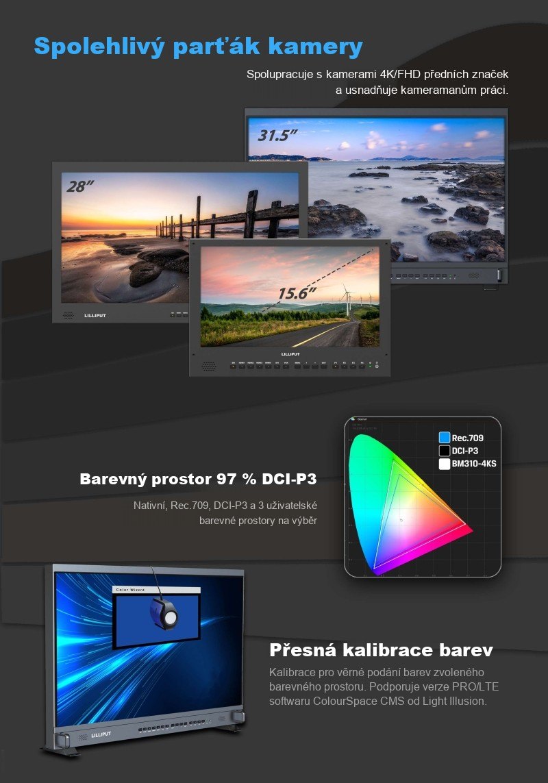 Lilliput BM310-4KS – infografika 2