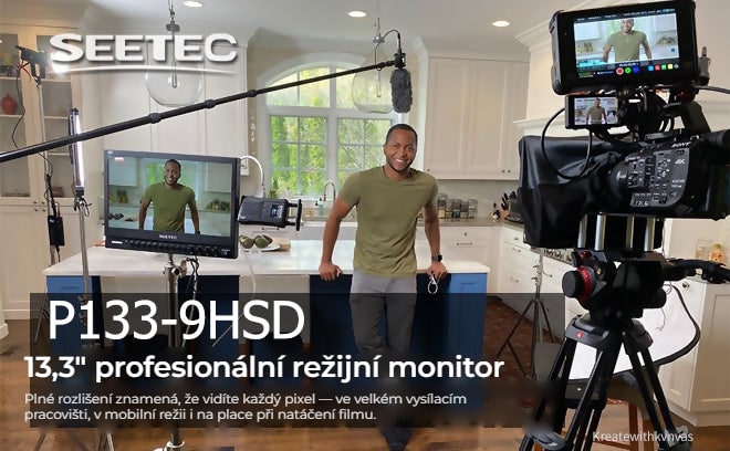 FEELWORLD P133-9HSD