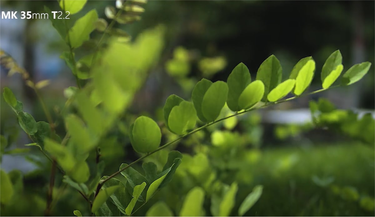 MK-35MM F2.2 RF