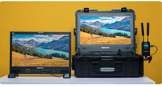 SEETEC WPC215