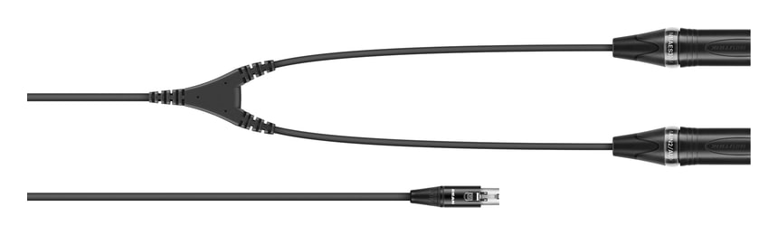 Sennheiser CA 6042 XLR Y-kábel