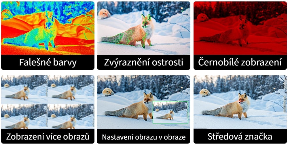 Profesionální pomocné funkce