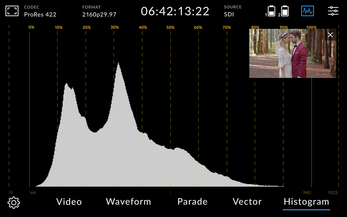 Vestavěné scopes Video Assist