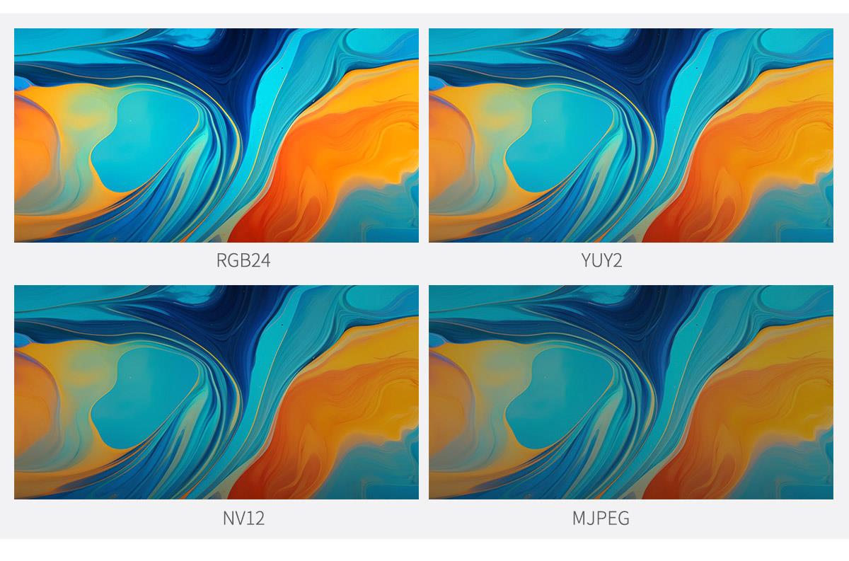 multiple format capture