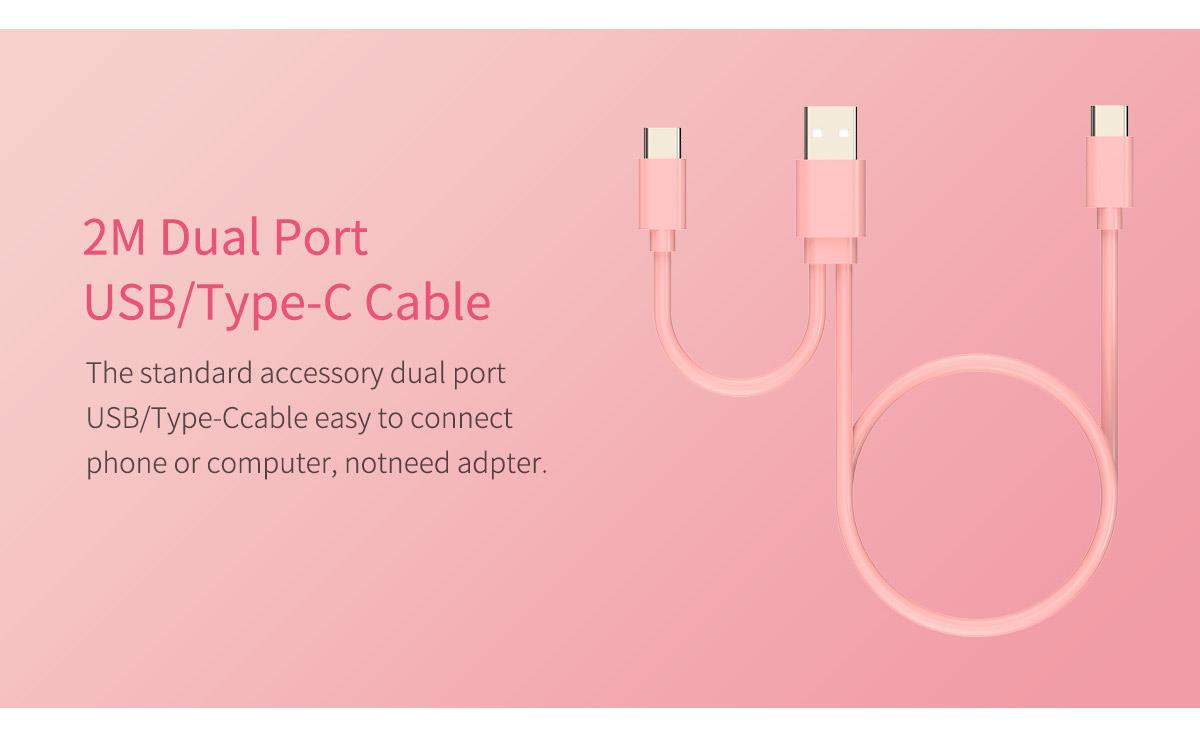 dual port cable mic