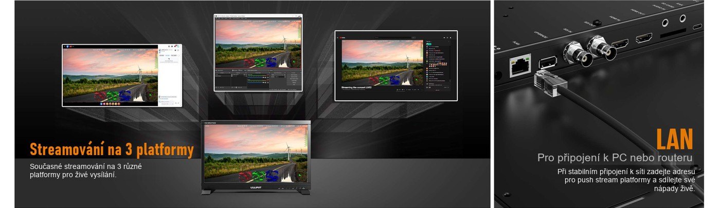 Lilliput PVM220S-E – infografika 3