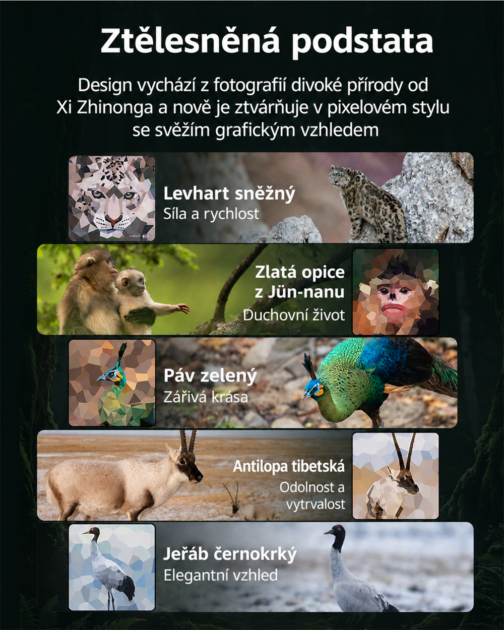 SmallRig 5925 infographic 02