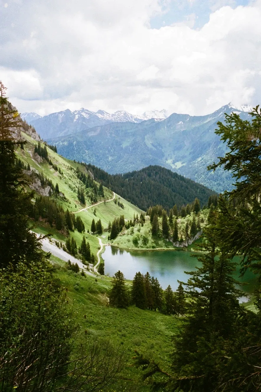 ŠIROK POGLED IN DETAJL