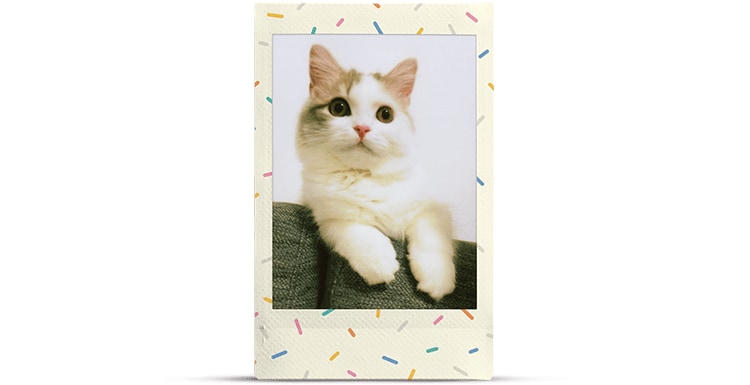 Fujifilm instax mini Sofortbildfilm Sprinkles, 10 Aufnahmen