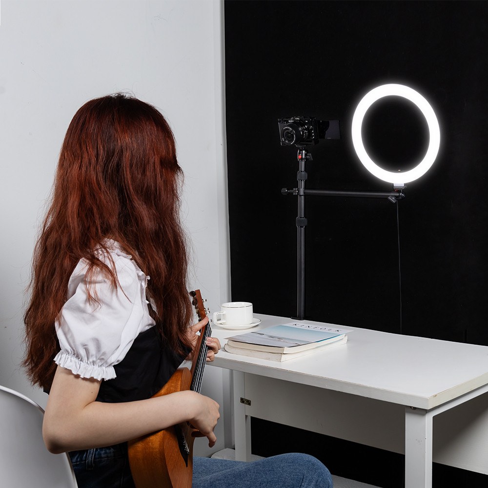 Encore DT-30 Desk Mount with Holding Arm