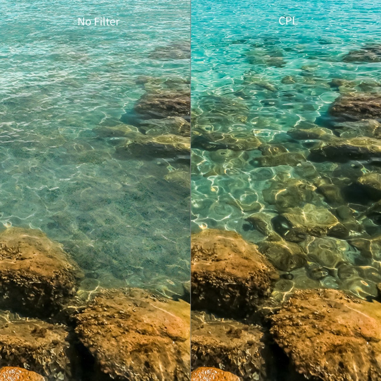 CPL Filter for DJI Osmo Action 6