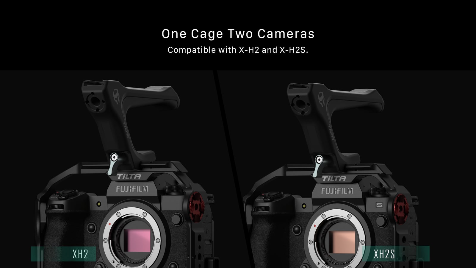 One cage for two bodies
