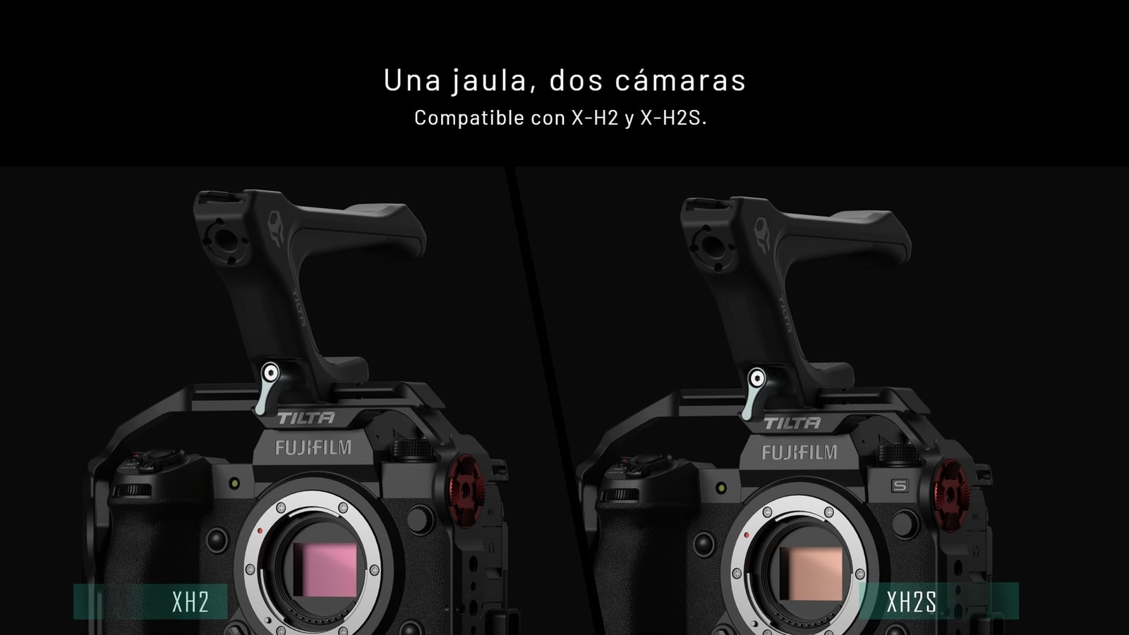 Una jaula para dos cuerpos