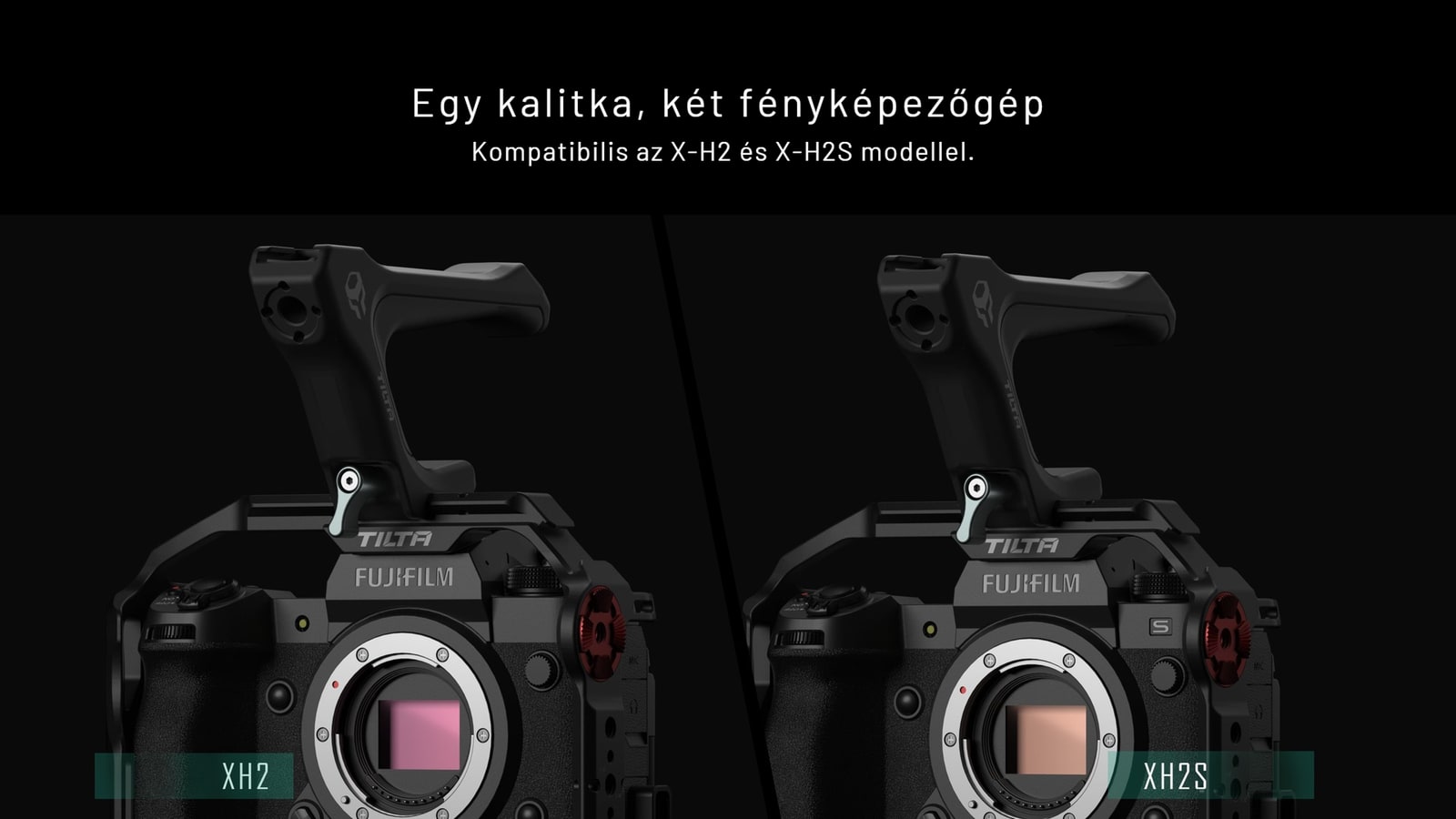 Egy kalitka két vázhoz