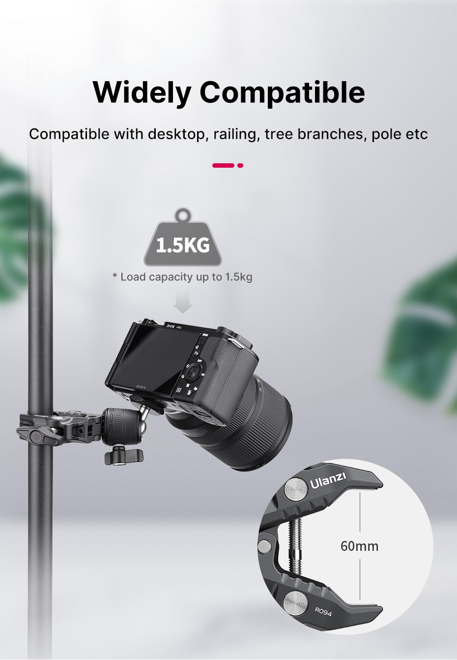 Ulanzi R099 en 2